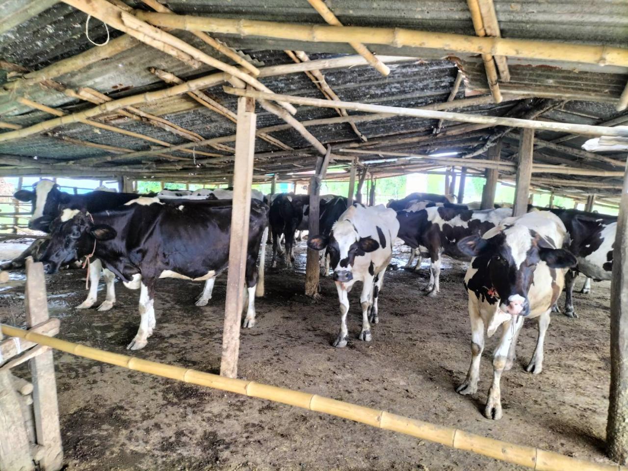 ภาพประกอบที่ 2