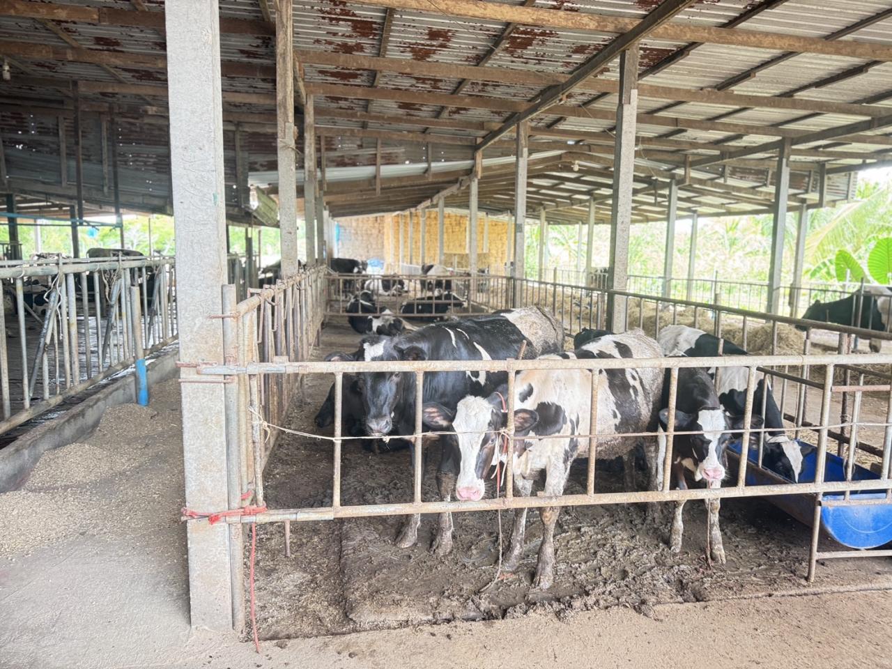 ภาพประกอบที่ 9