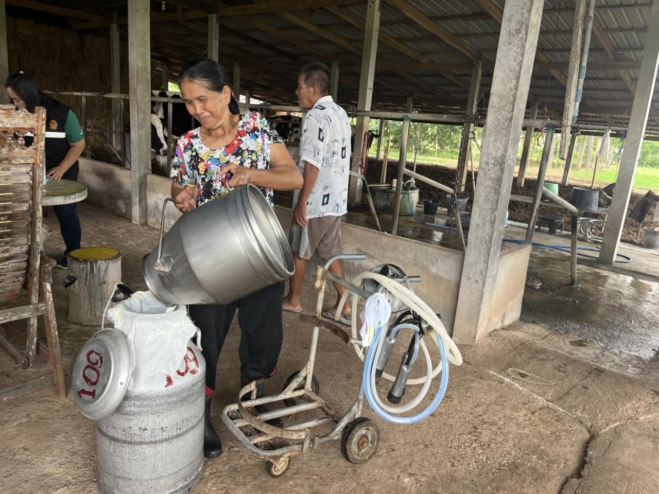 ภาพประกอบที่ 13