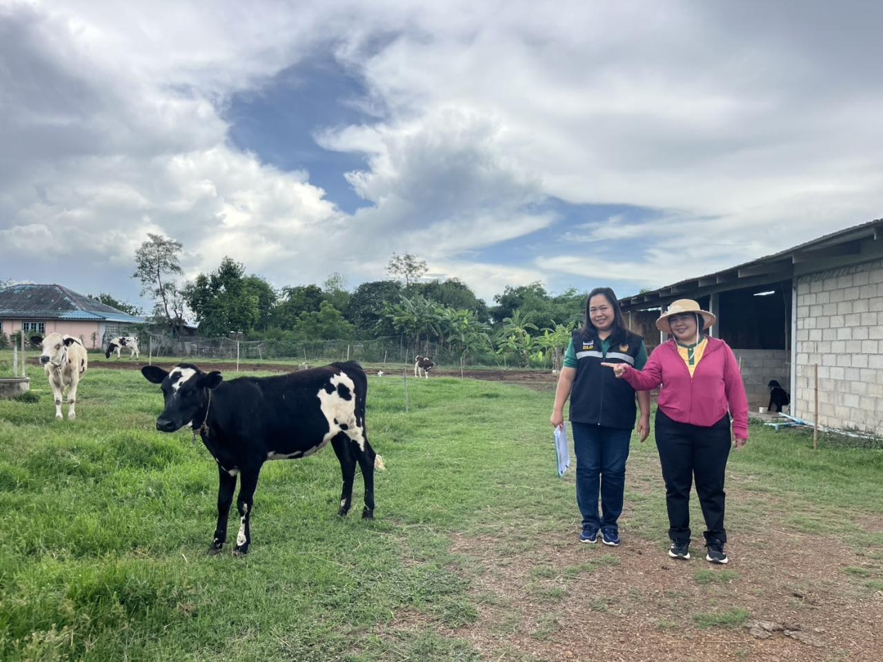 ภาพประกอบที่ 14