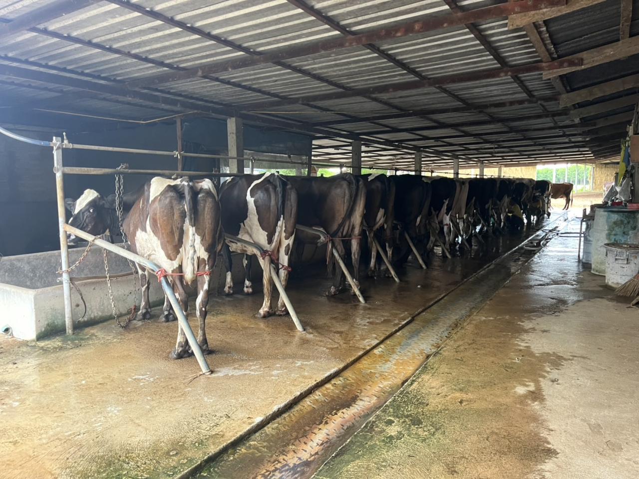 ภาพประกอบที่ 16