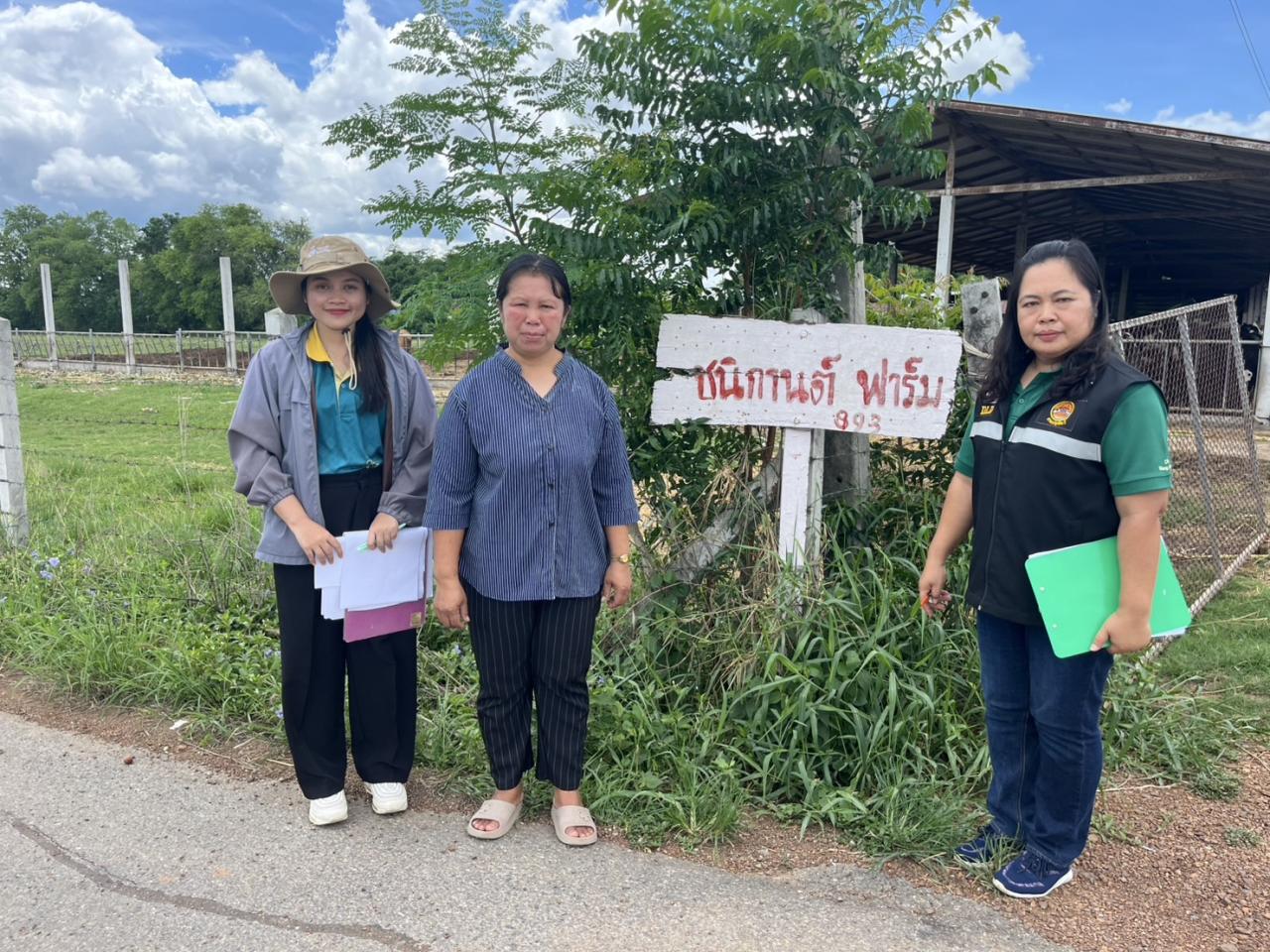 ภาพประกอบที่ 17