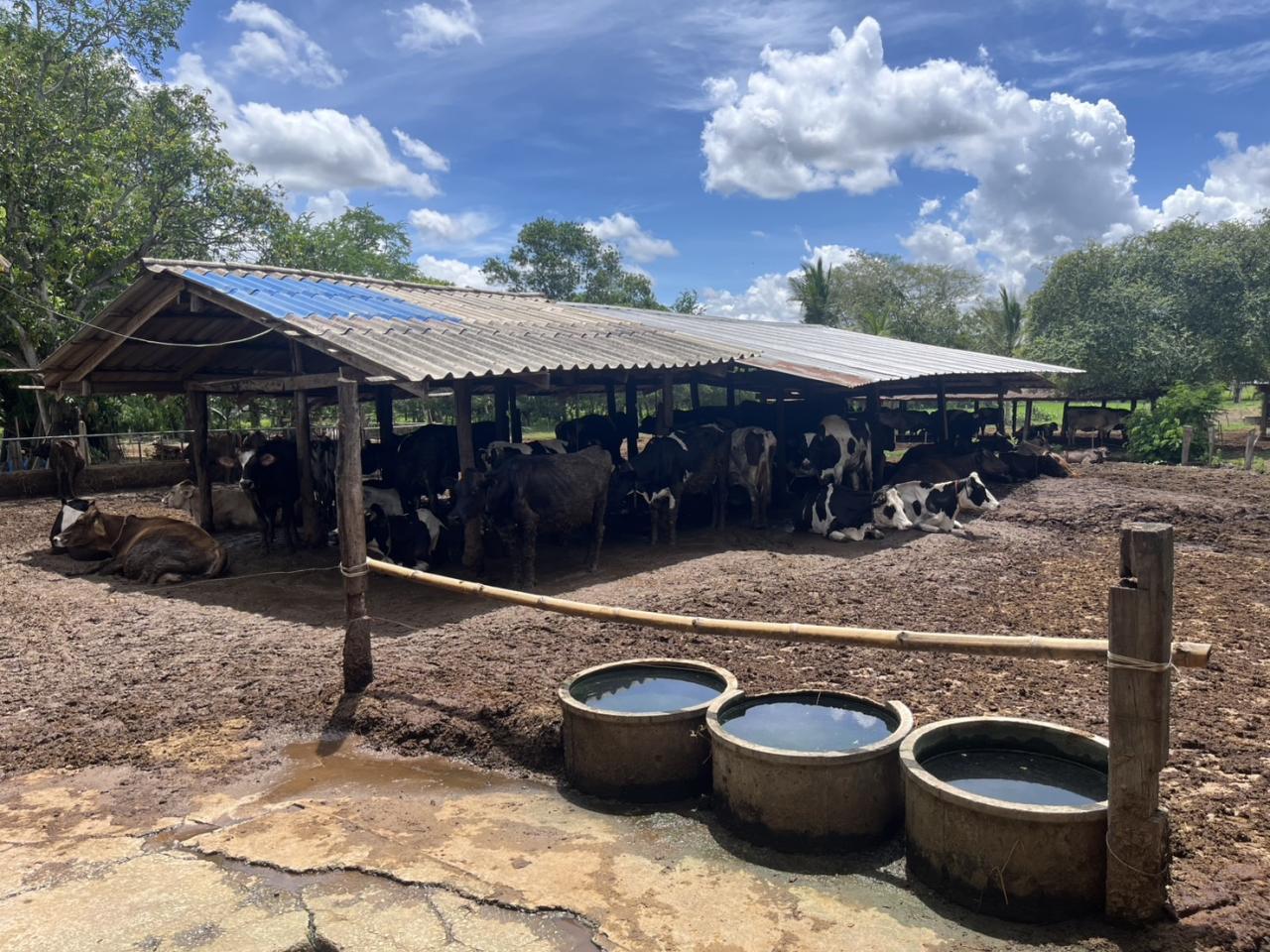 ภาพประกอบที่ 21