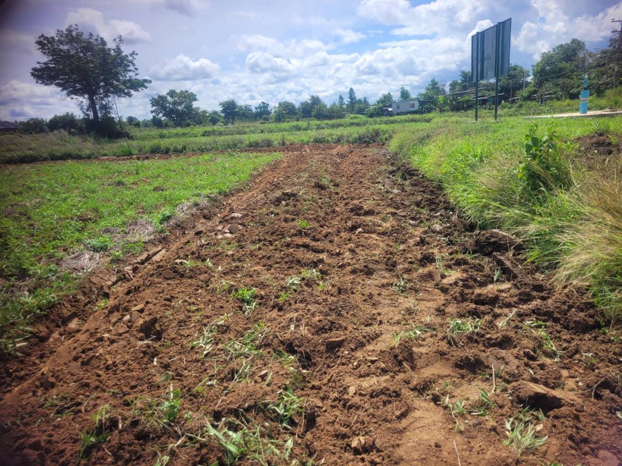 ภาพประกอบที่ 6