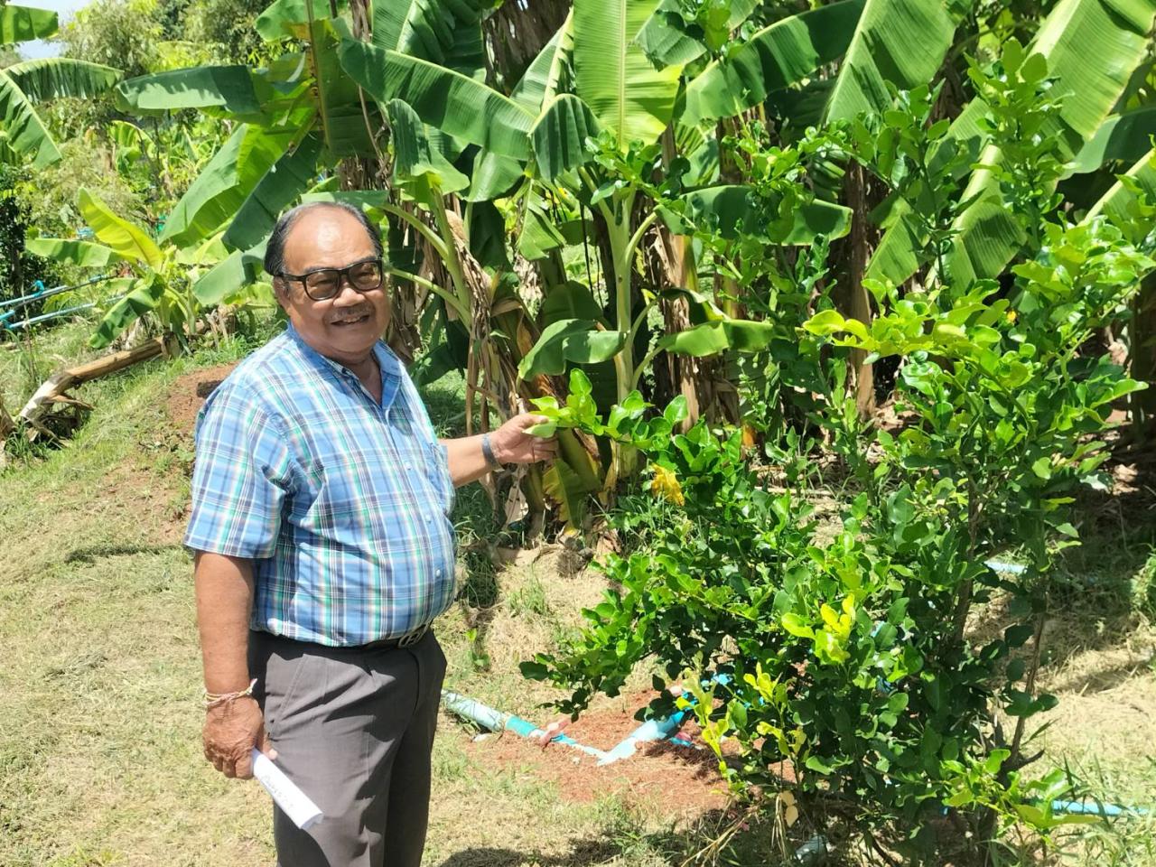 ภาพประกอบที่ 0