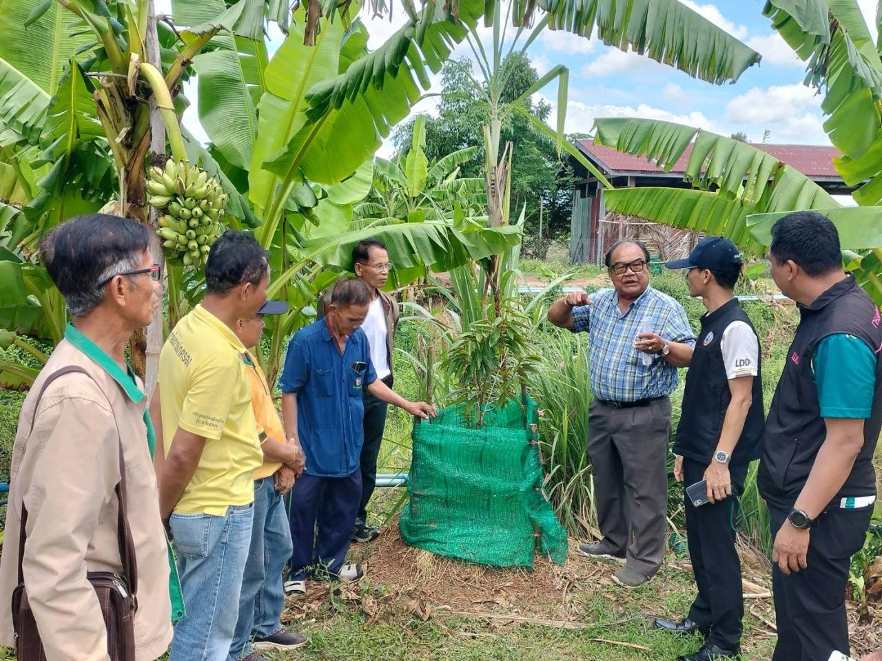 ภาพประกอบที่ 7