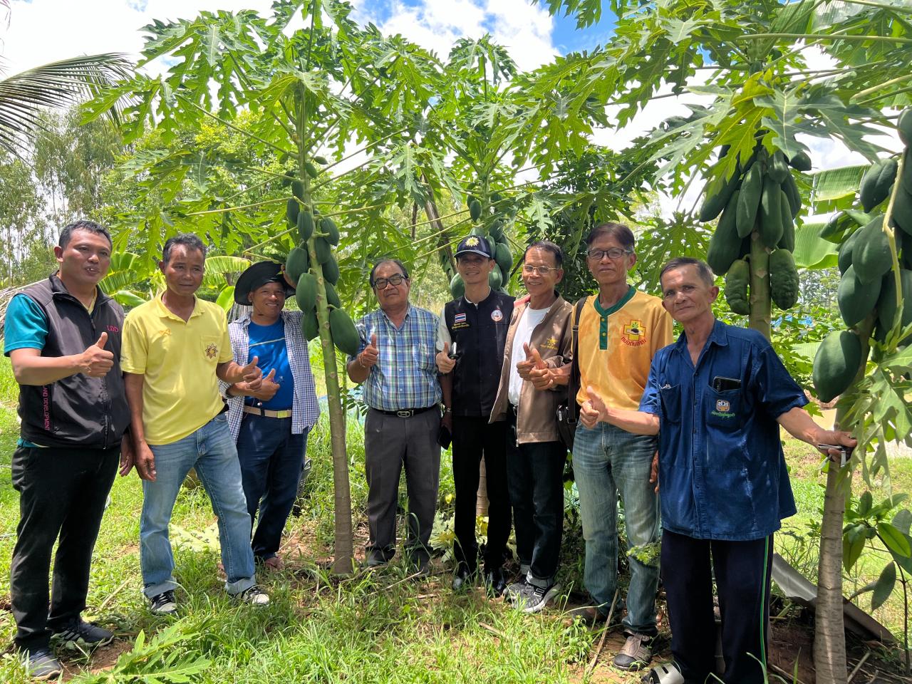 ภาพประกอบที่ 9