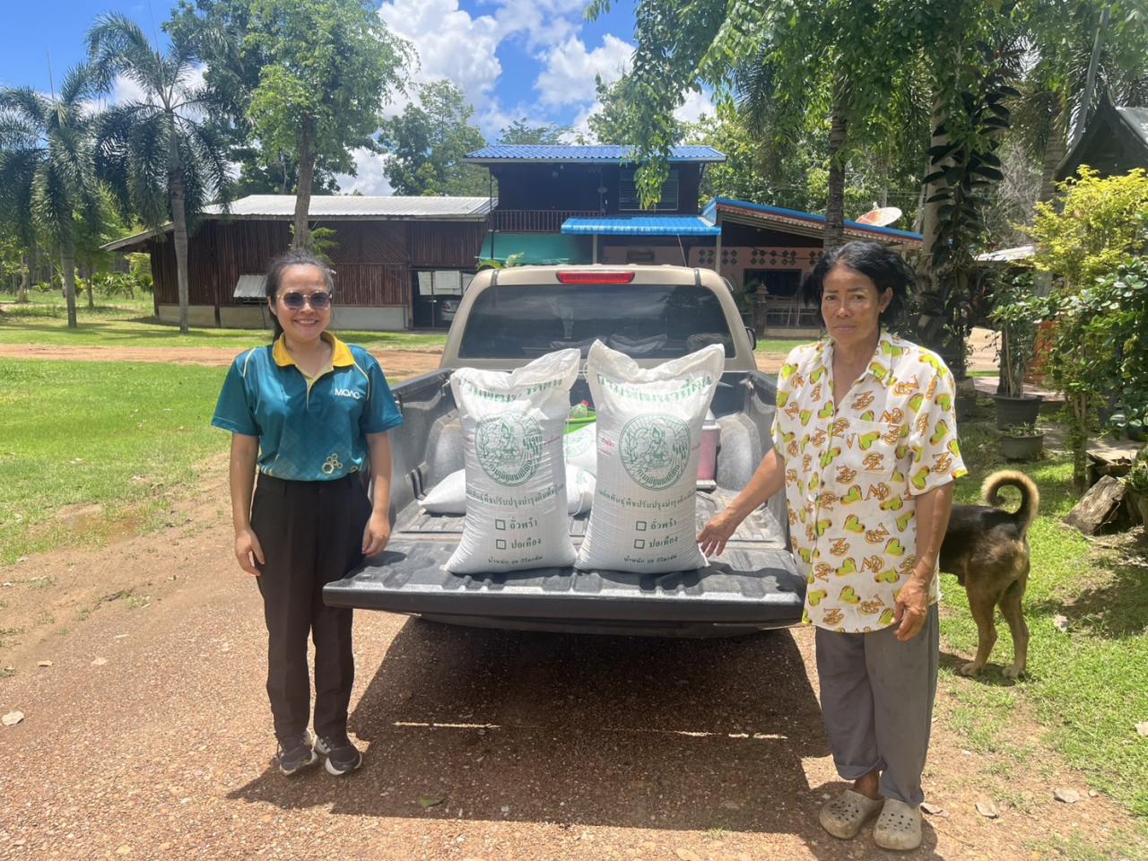 ภาพประกอบที่ 0