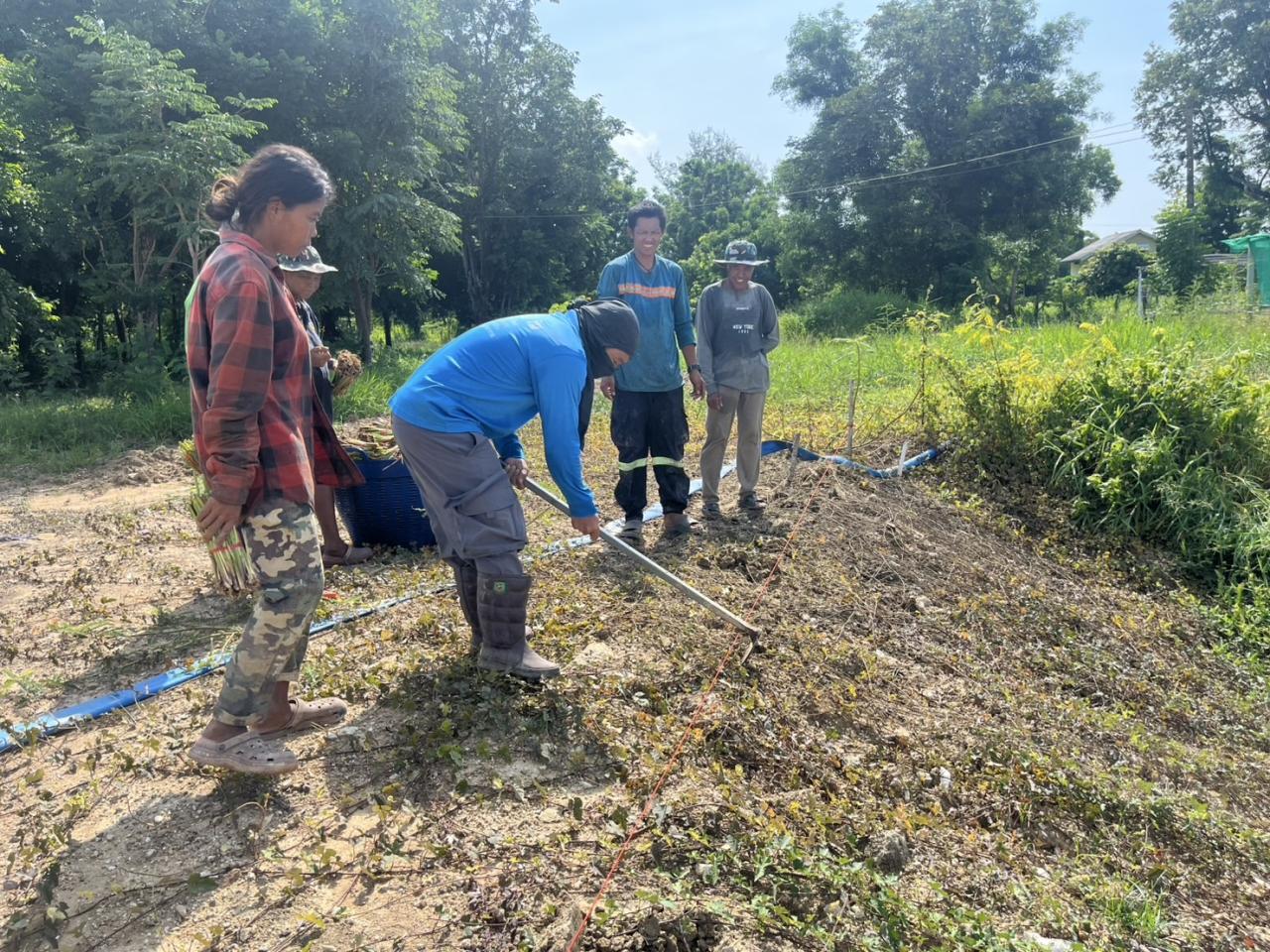 ภาพประกอบที่ 0