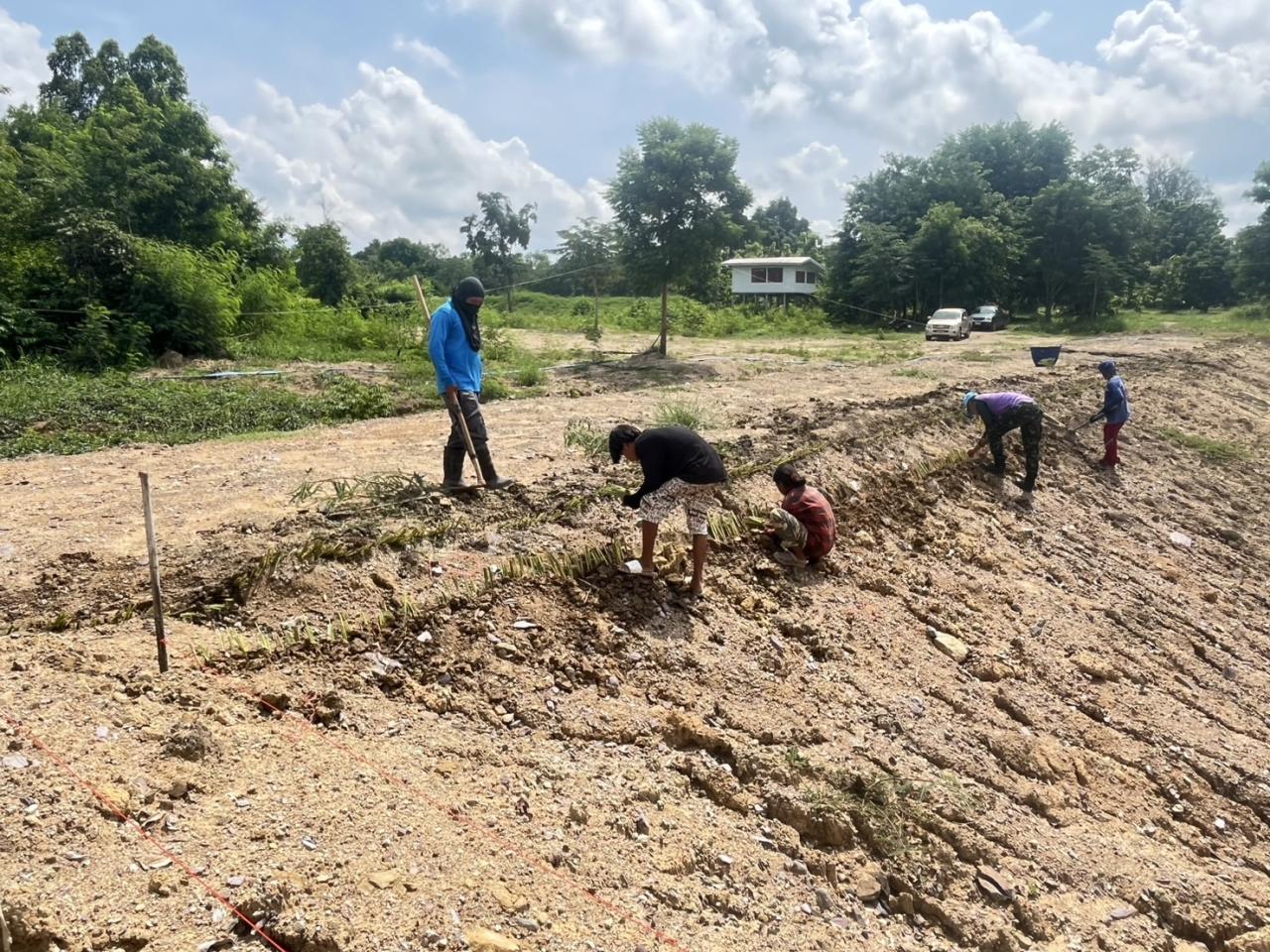 ภาพประกอบที่ 4