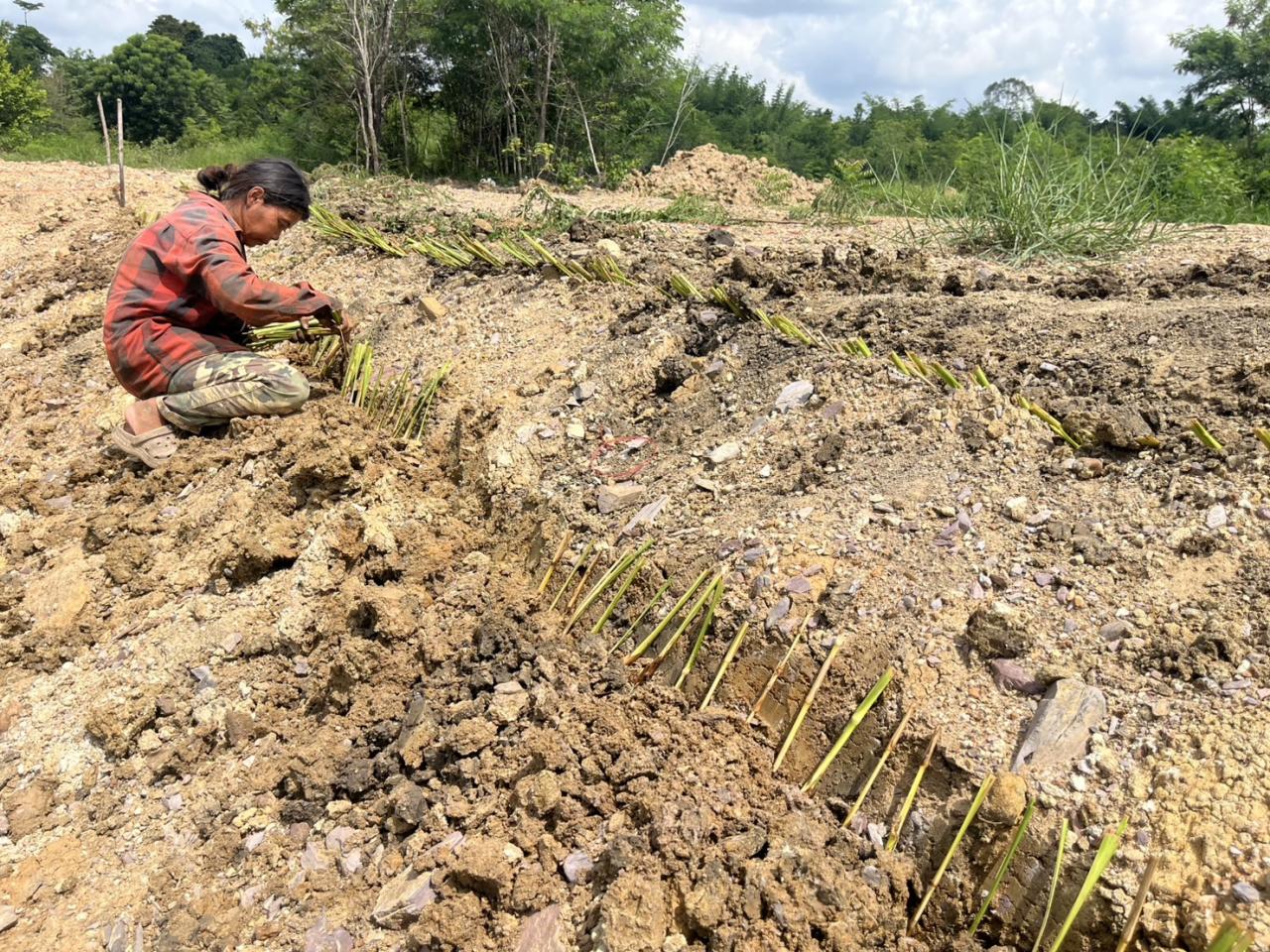 ภาพประกอบที่ 5