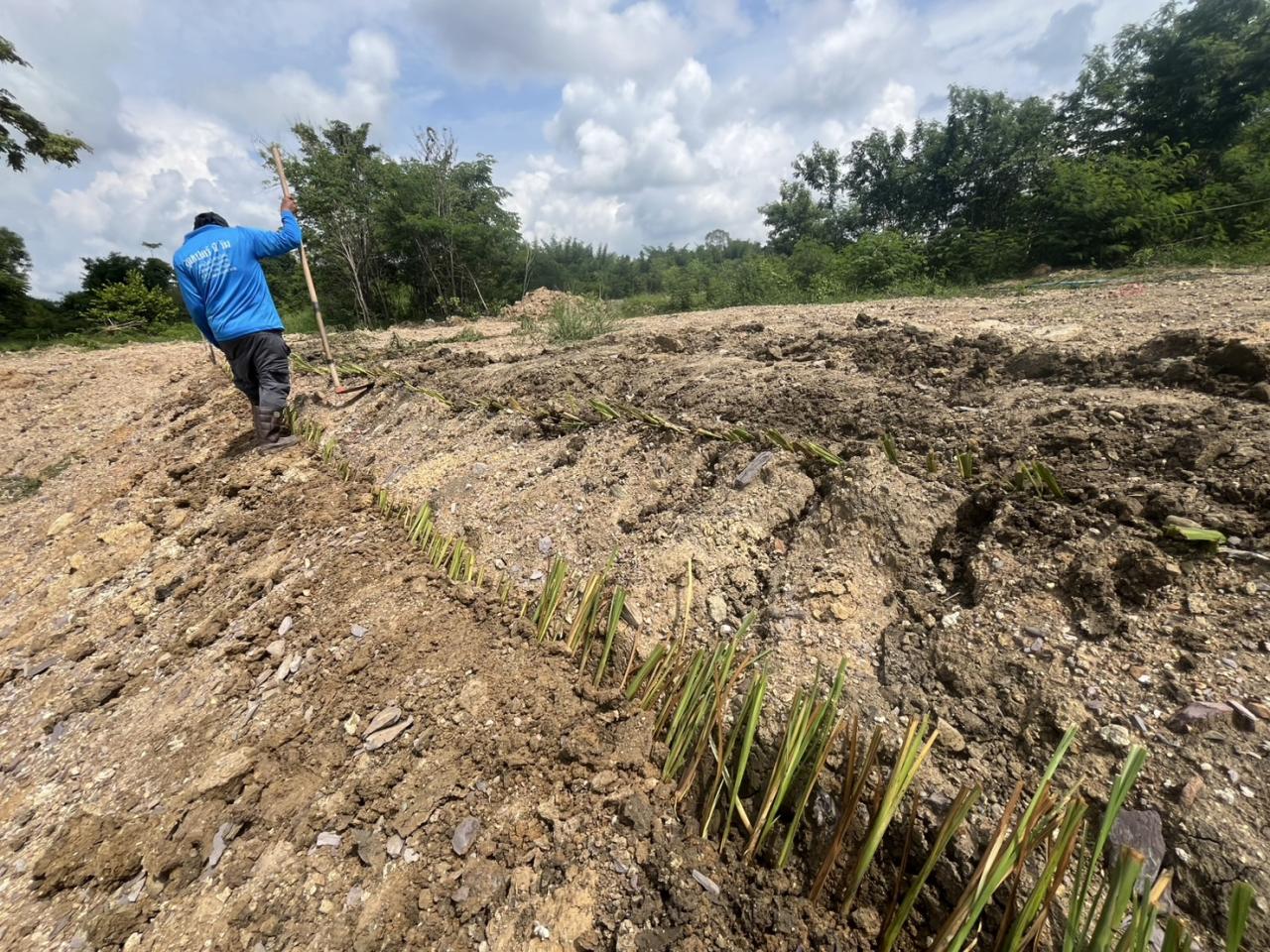 ภาพประกอบที่ 6