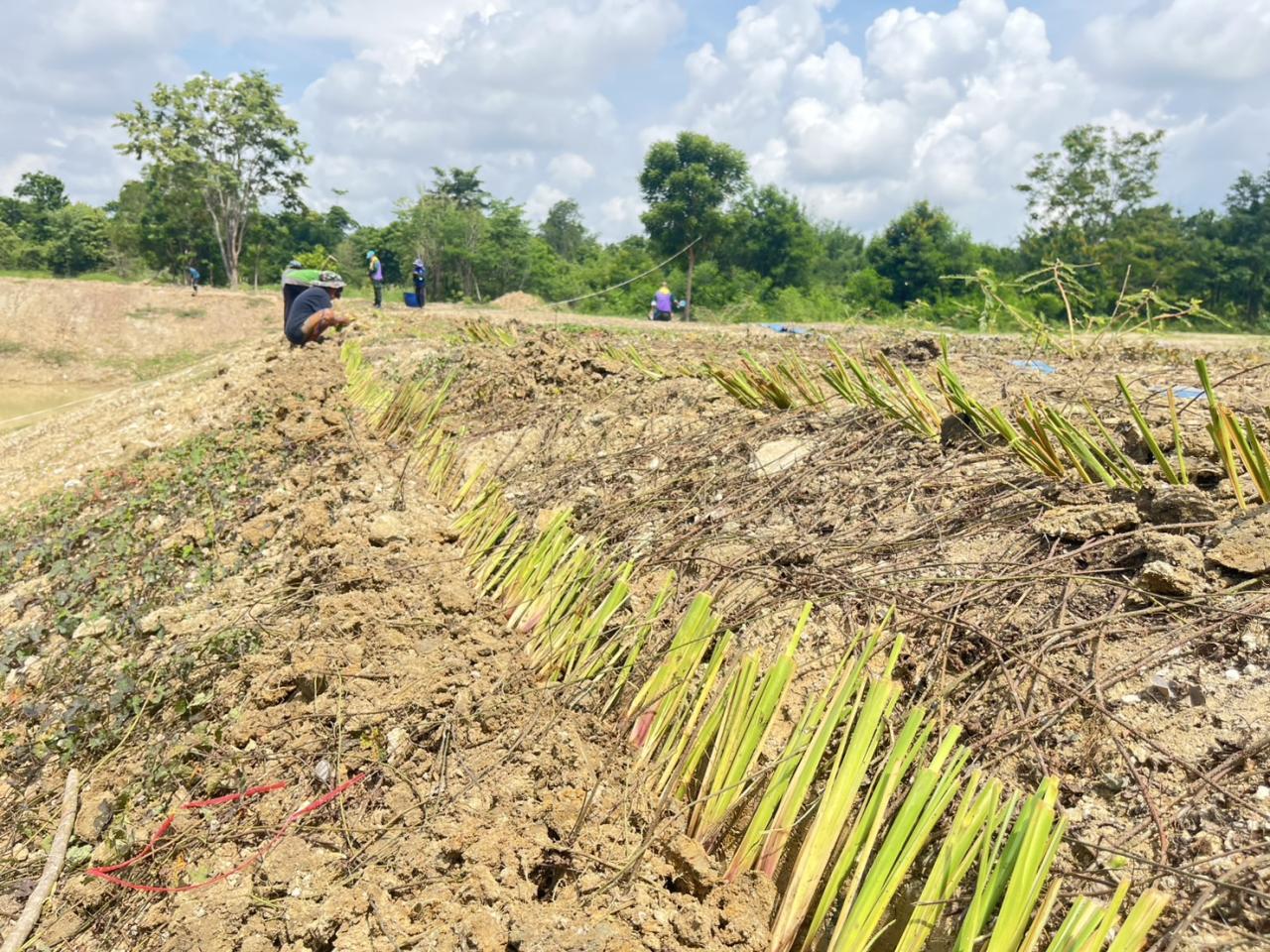 ภาพประกอบที่ 7