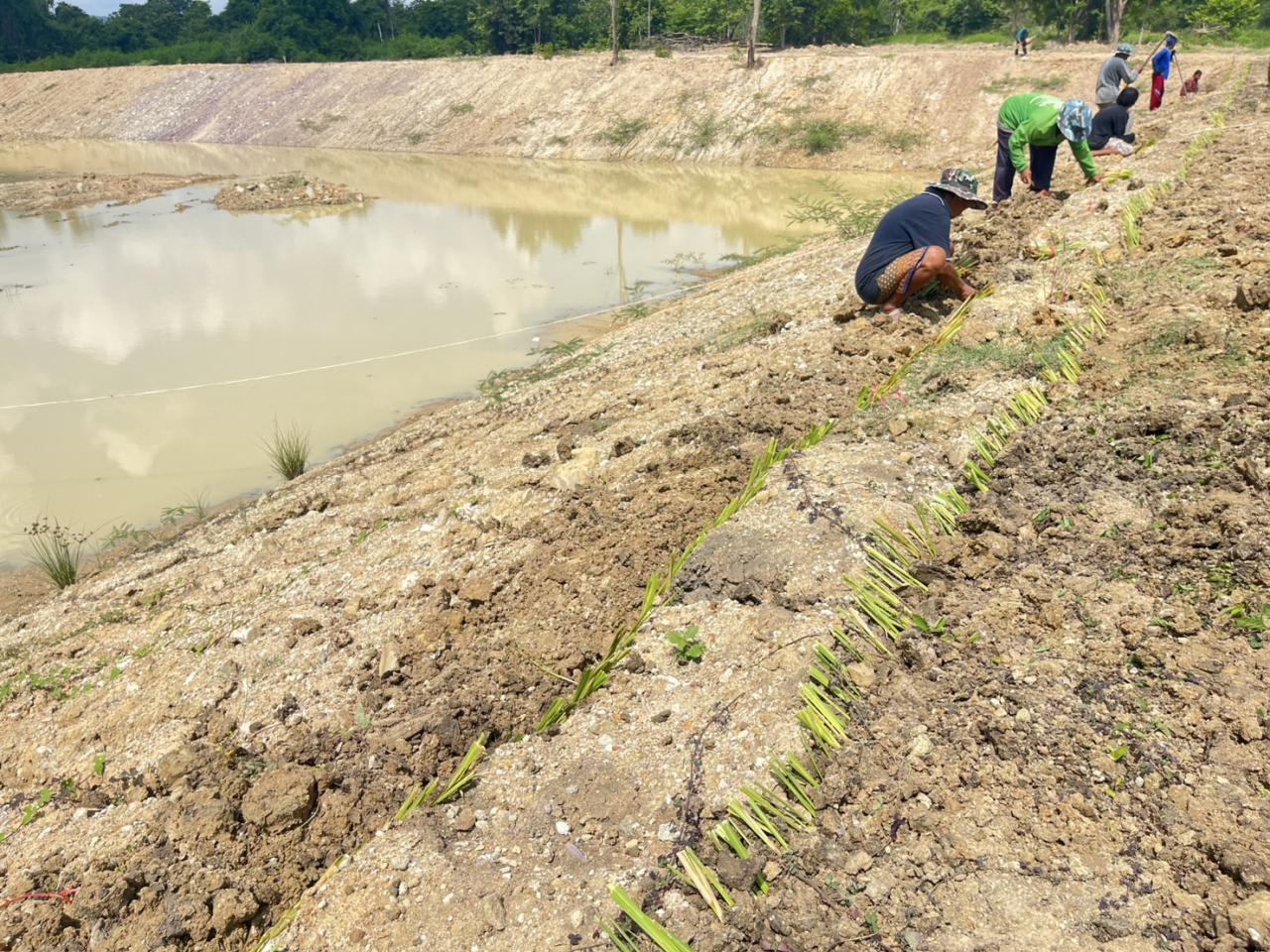 ภาพประกอบที่ 8