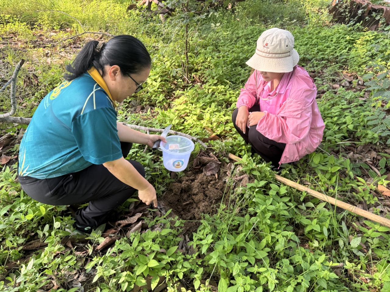 ภาพประกอบที่ 0