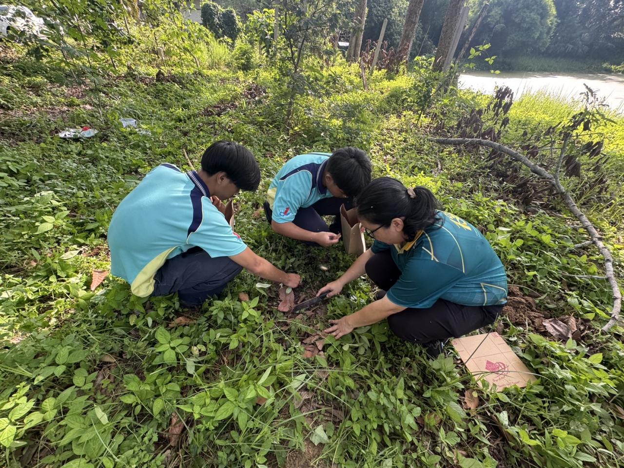 ภาพประกอบที่ 2