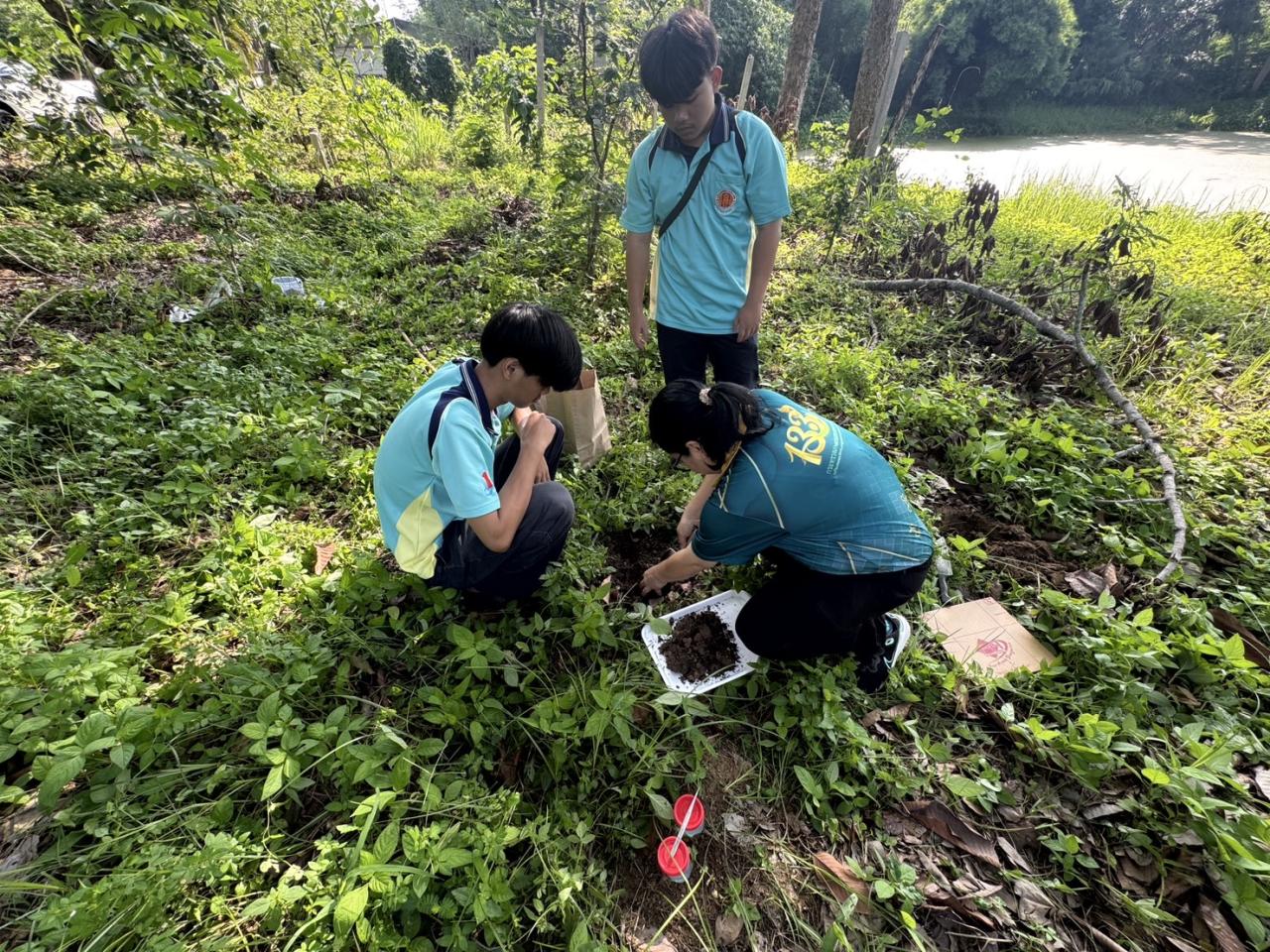 ภาพประกอบที่ 3