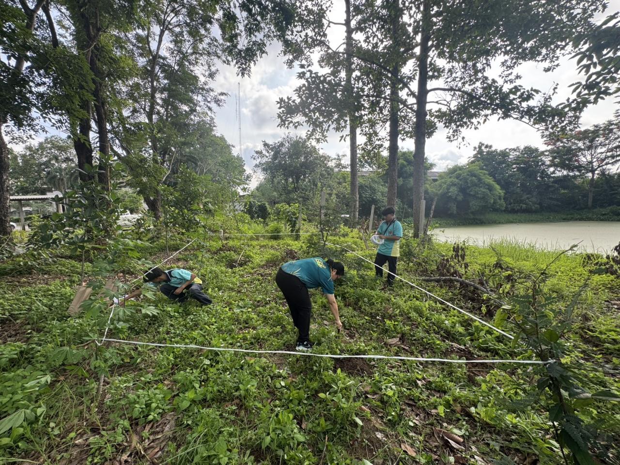 ภาพประกอบที่ 4