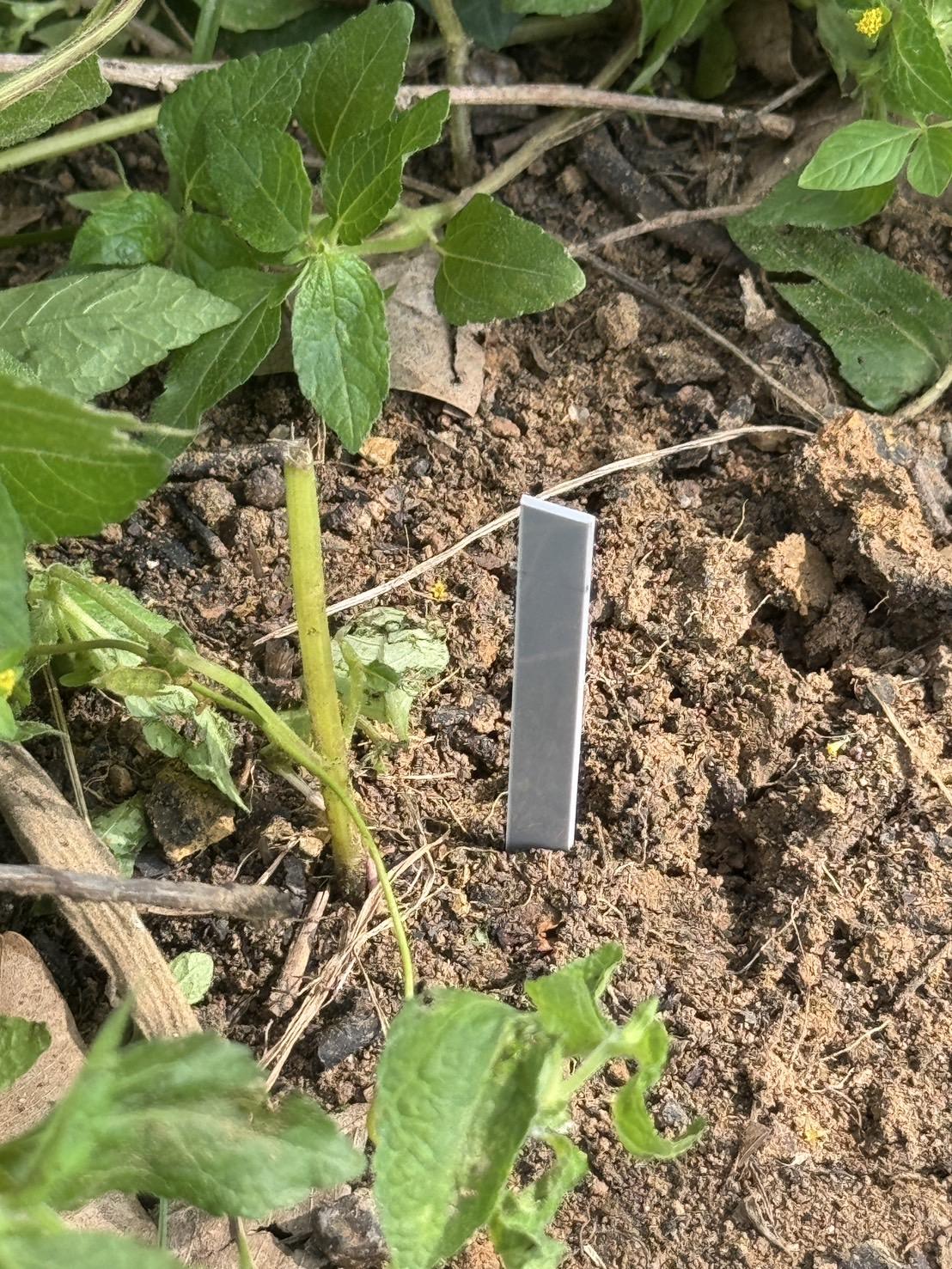 ภาพประกอบที่ 5