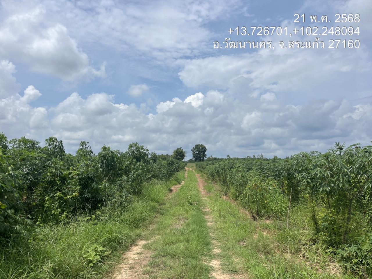 ภาพประกอบที่ 10