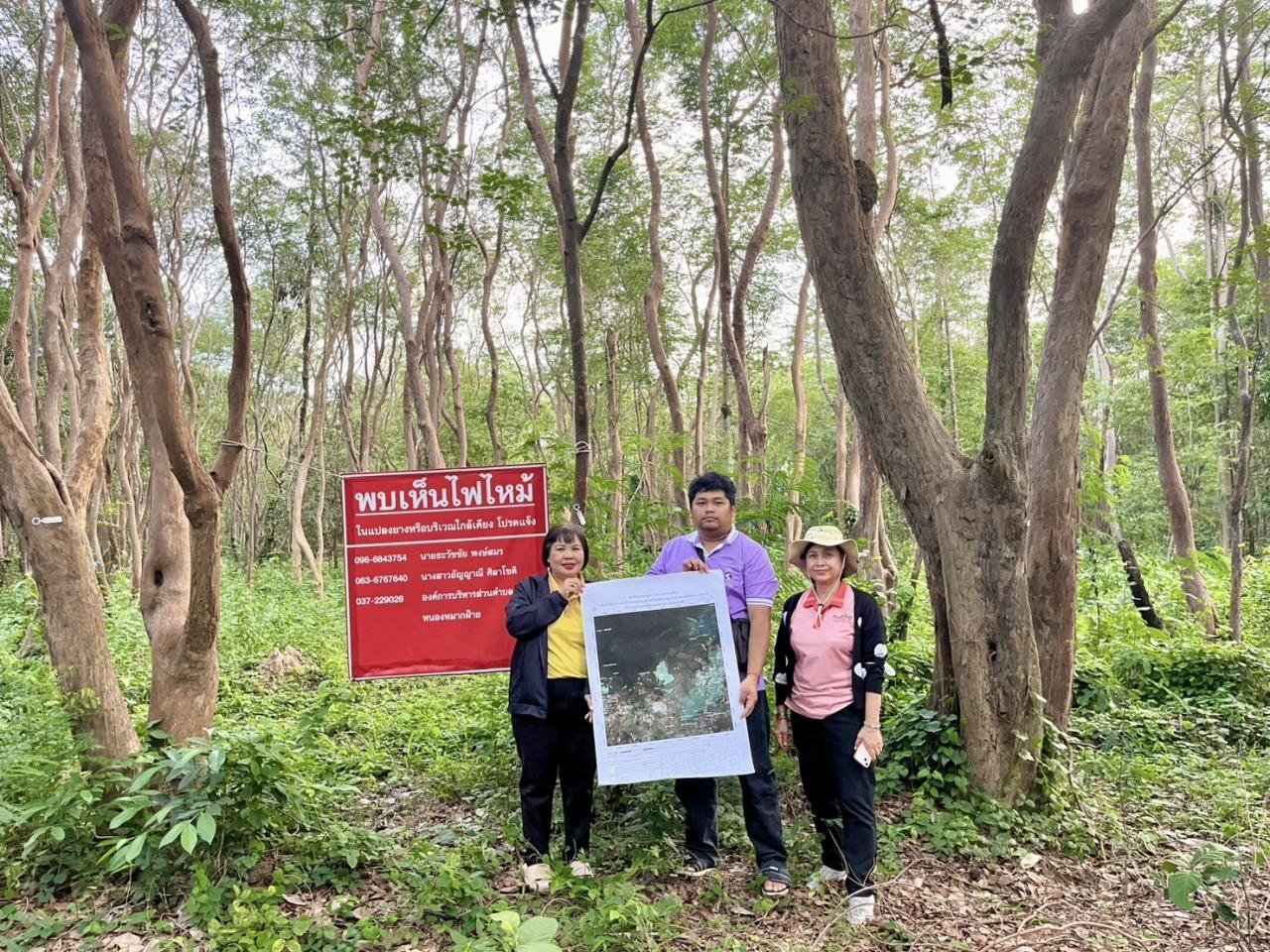 ภาพประกอบที่ 15