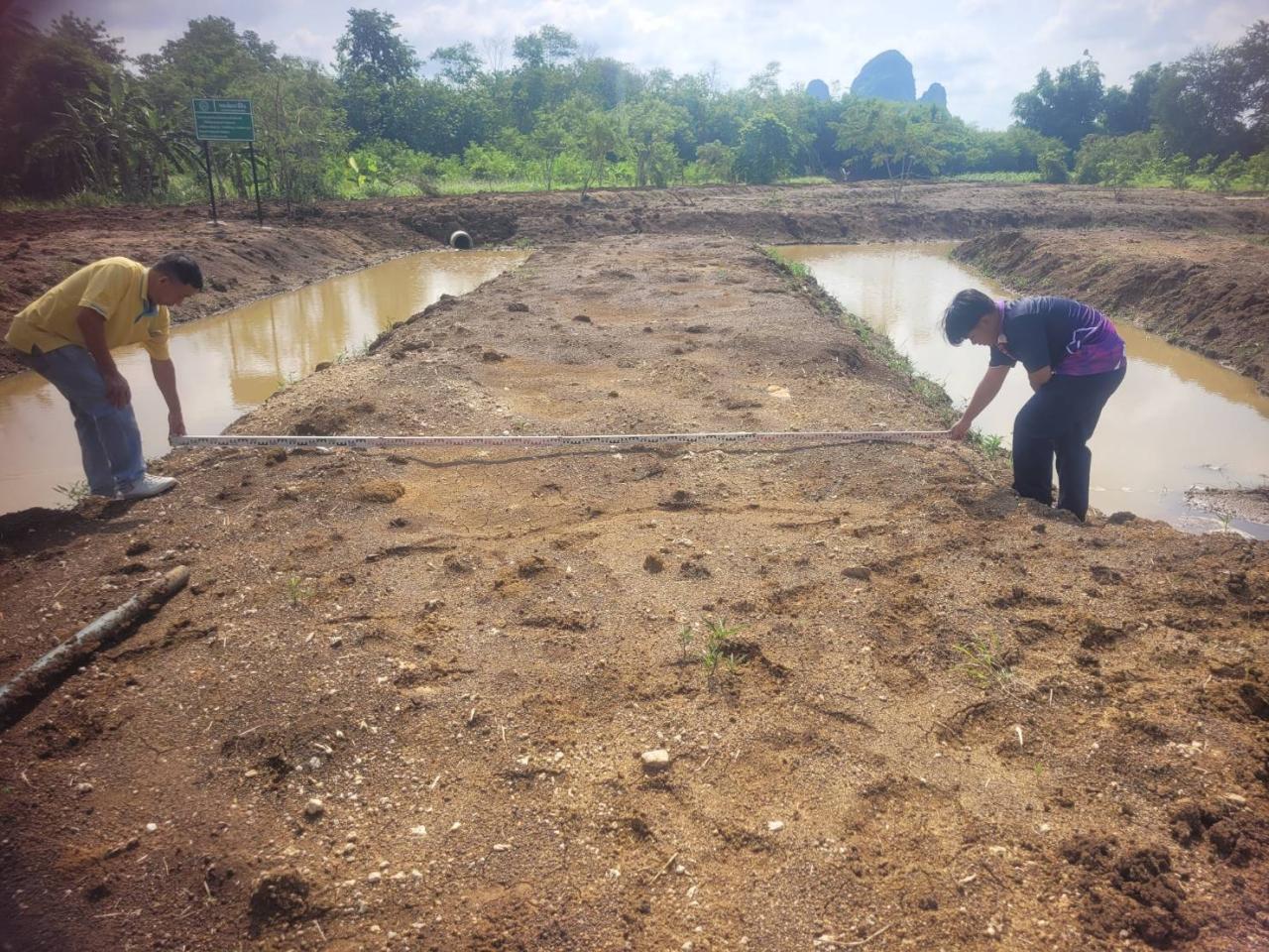 ภาพประกอบที่ 1