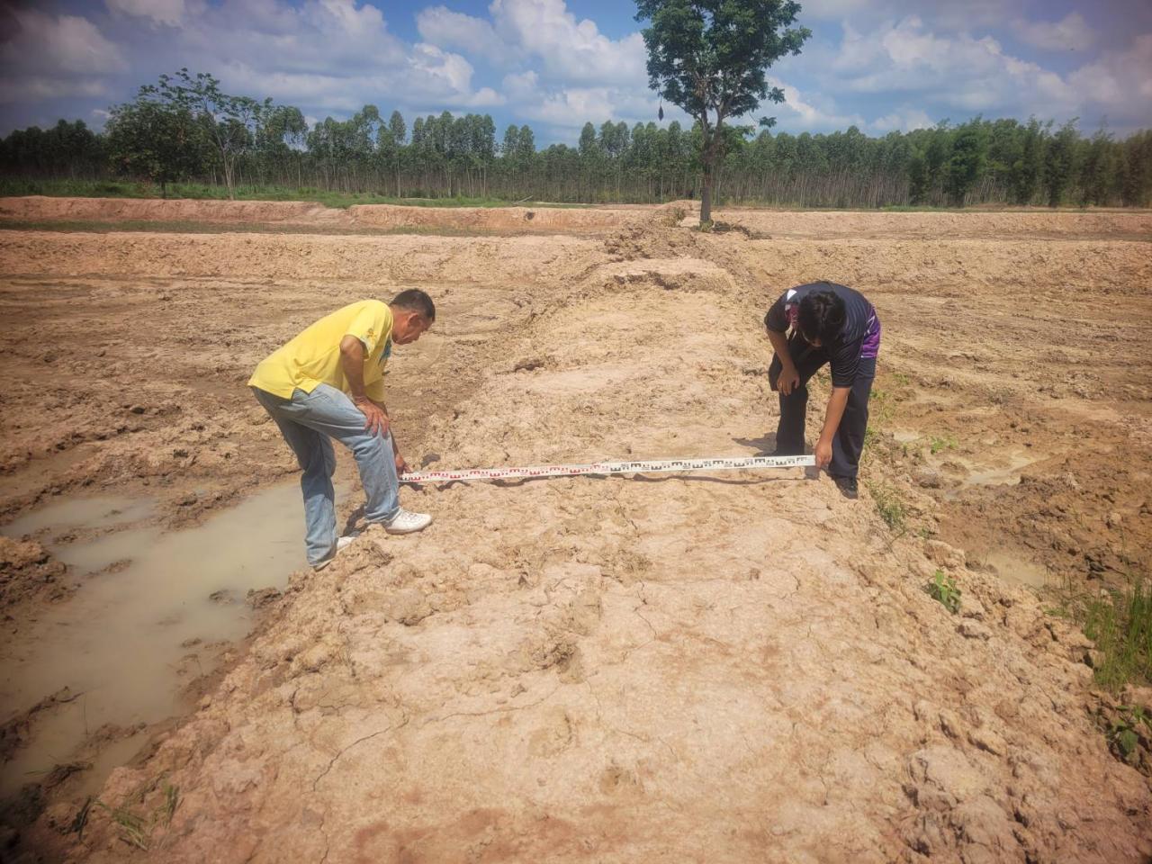 ภาพประกอบที่ 5