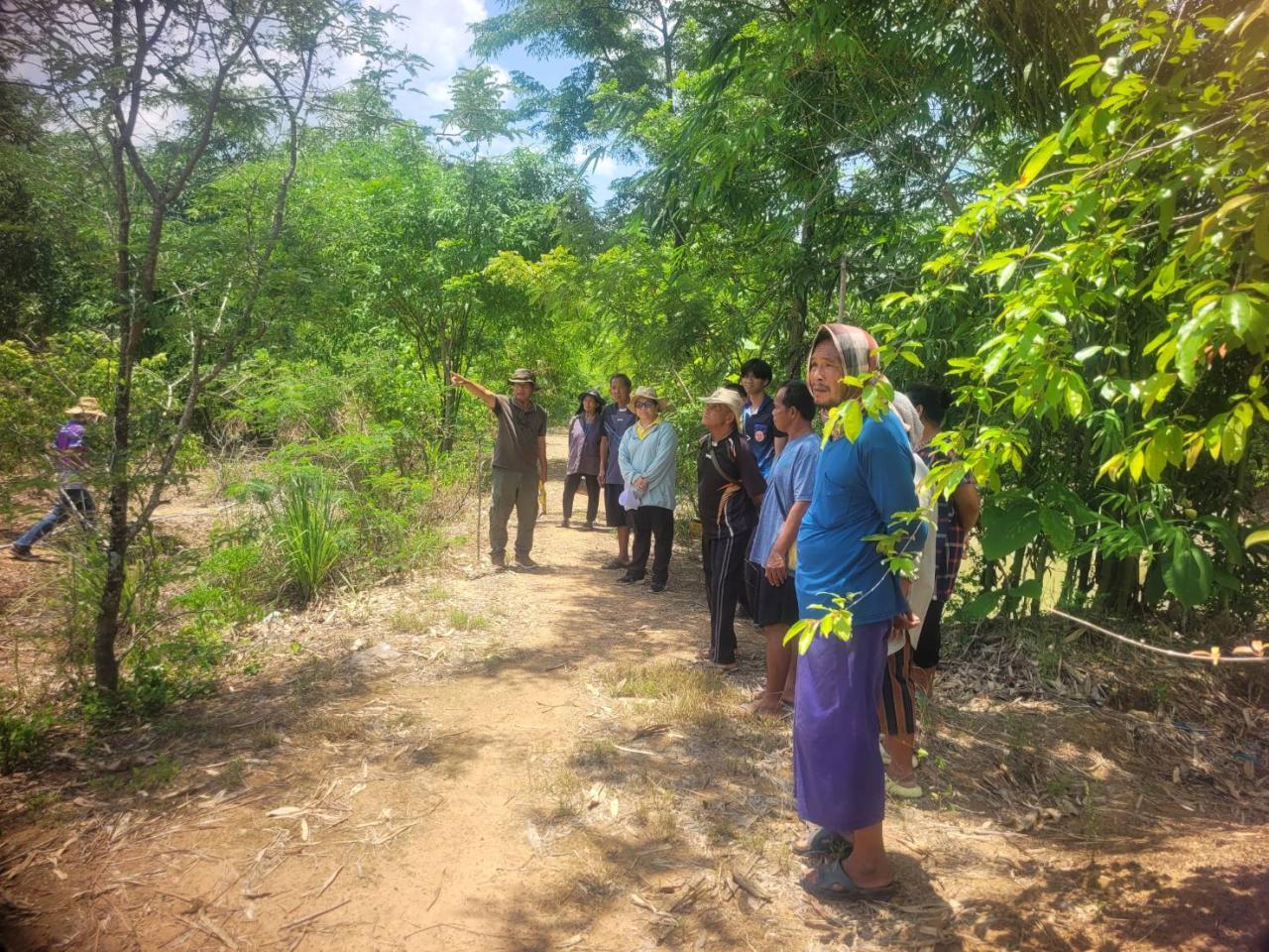 ภาพประกอบที่ 0