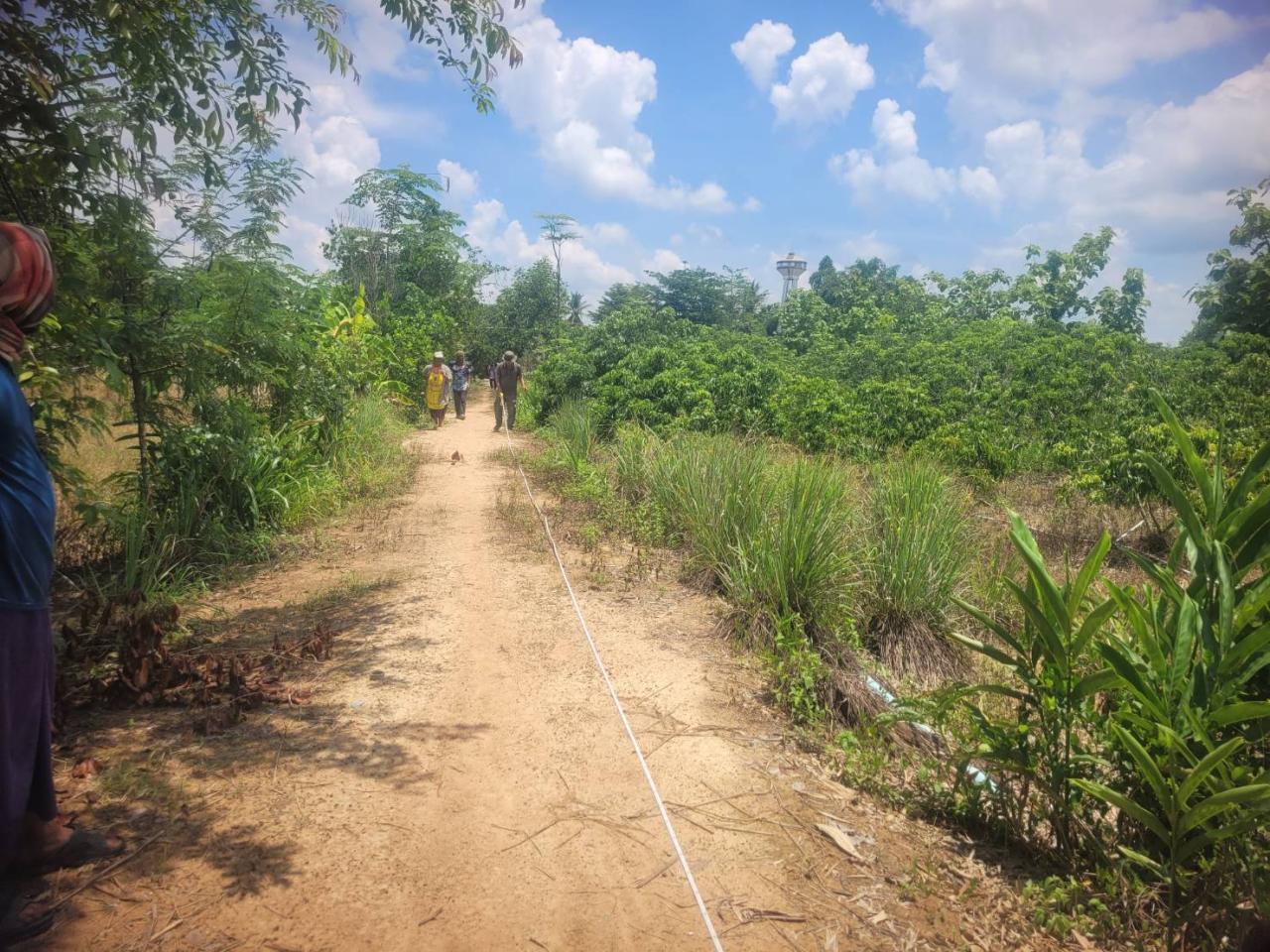 ภาพประกอบที่ 5