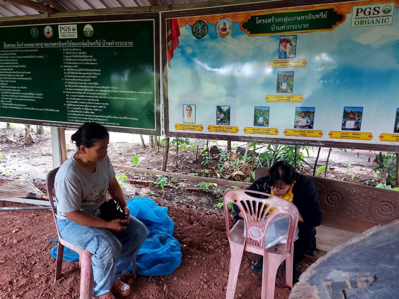 ภาพประกอบที่ 1