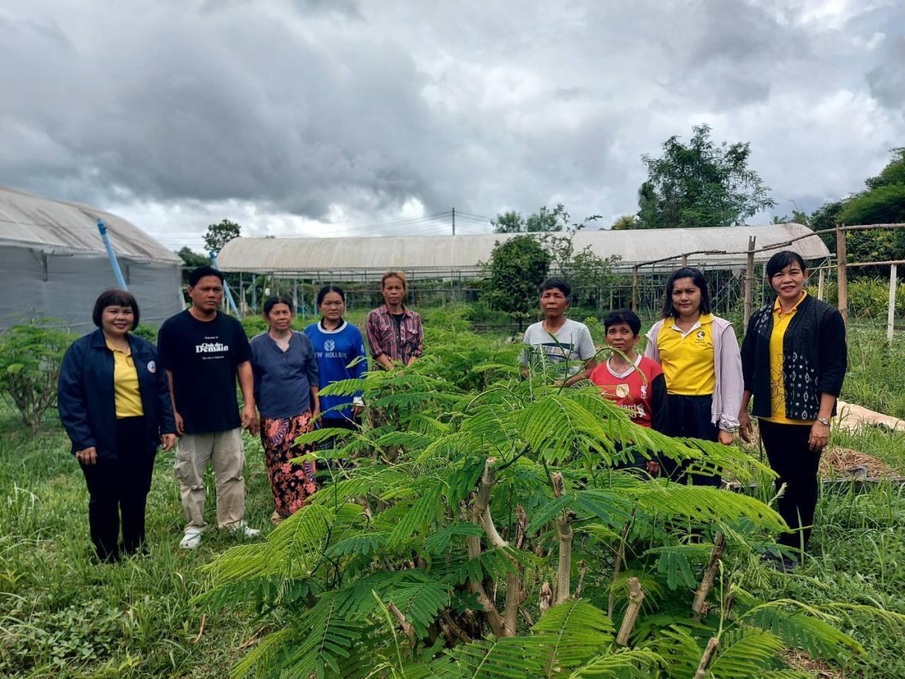 ภาพประกอบที่ 8