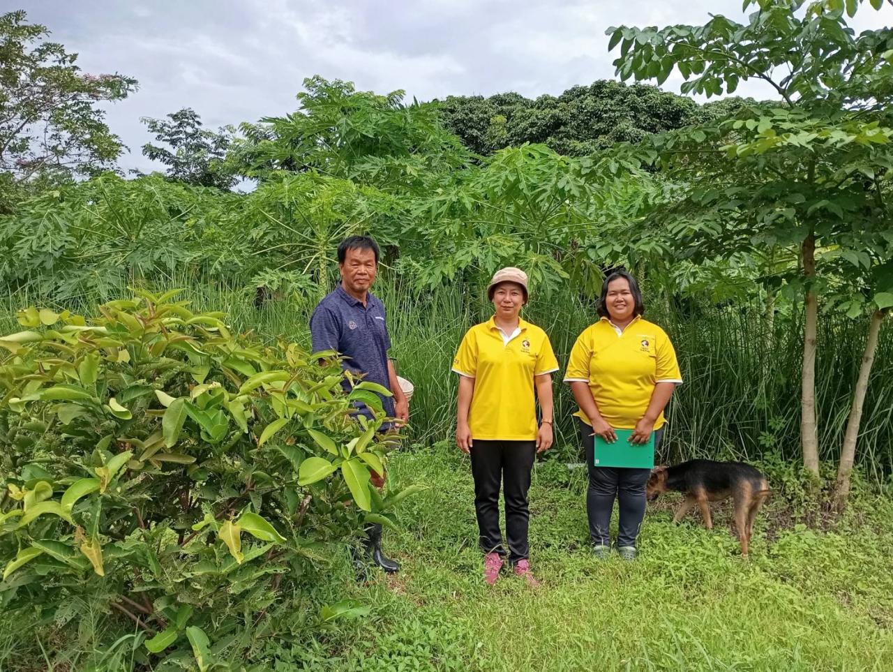 ภาพประกอบที่ 0