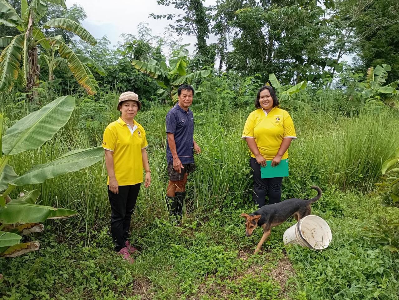 ภาพประกอบที่ 6
