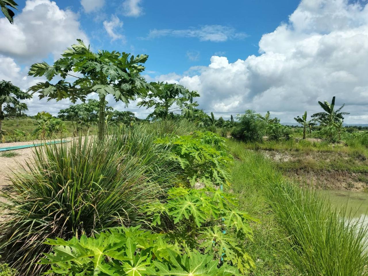 ภาพประกอบที่ 1