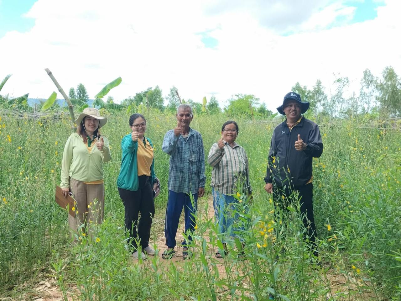 ภาพประกอบที่ 4