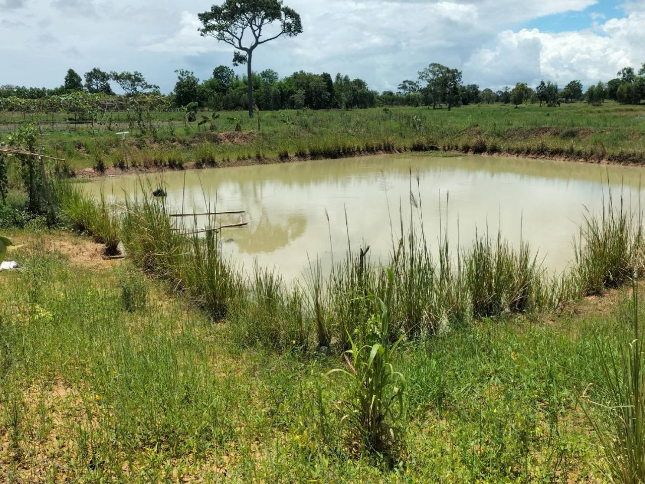 ภาพประกอบที่ 6