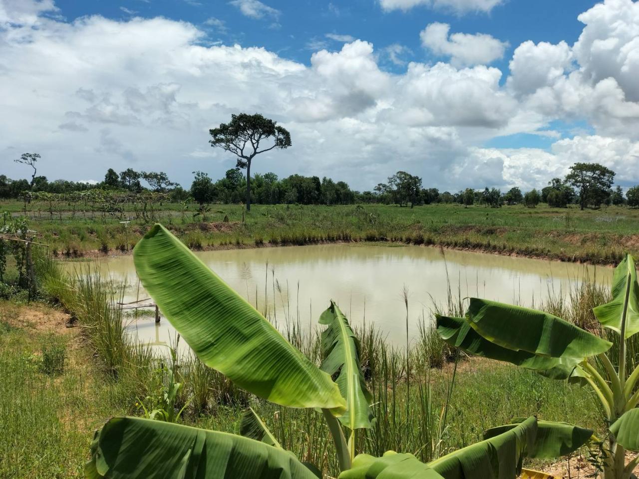 ภาพประกอบที่ 7