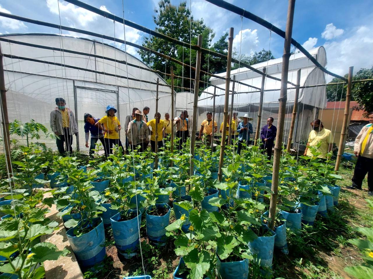 ภาพประกอบที่ 25