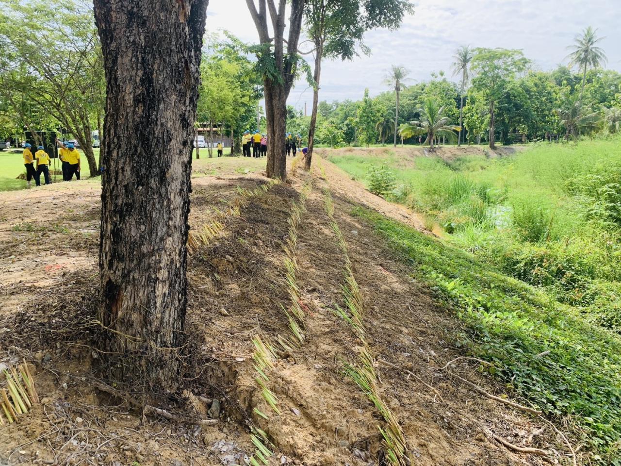 ภาพประกอบที่ 7