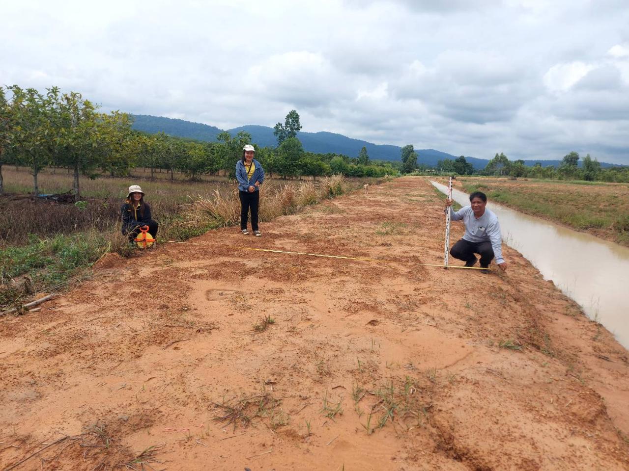 ภาพประกอบที่ 1
