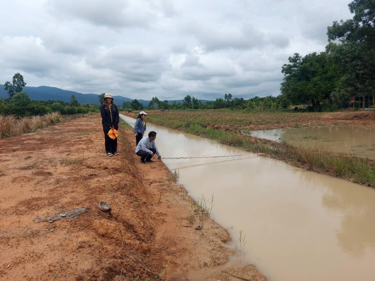 ภาพประกอบที่ 2