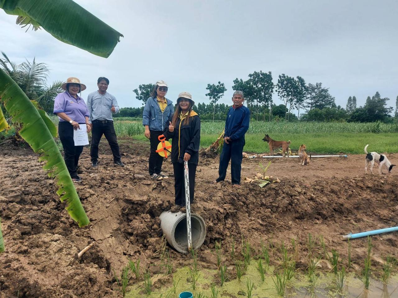 ภาพประกอบที่ 4