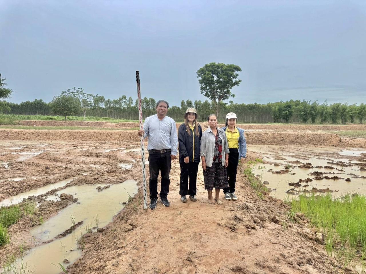 ภาพประกอบที่ 4