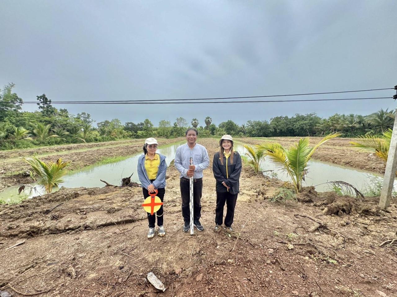 ภาพประกอบที่ 6