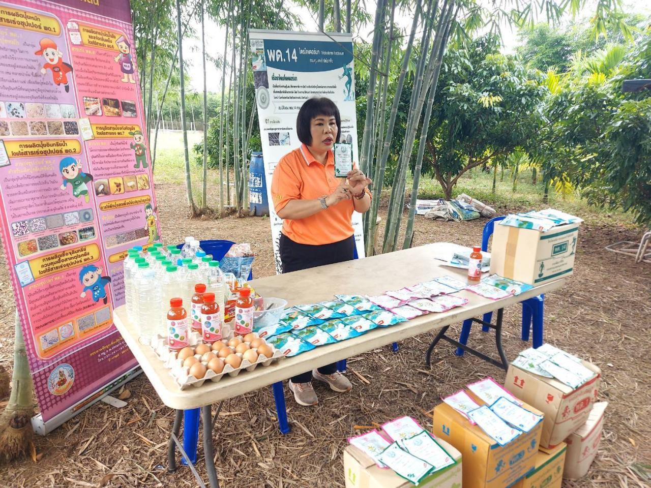 ภาพประกอบที่ 3