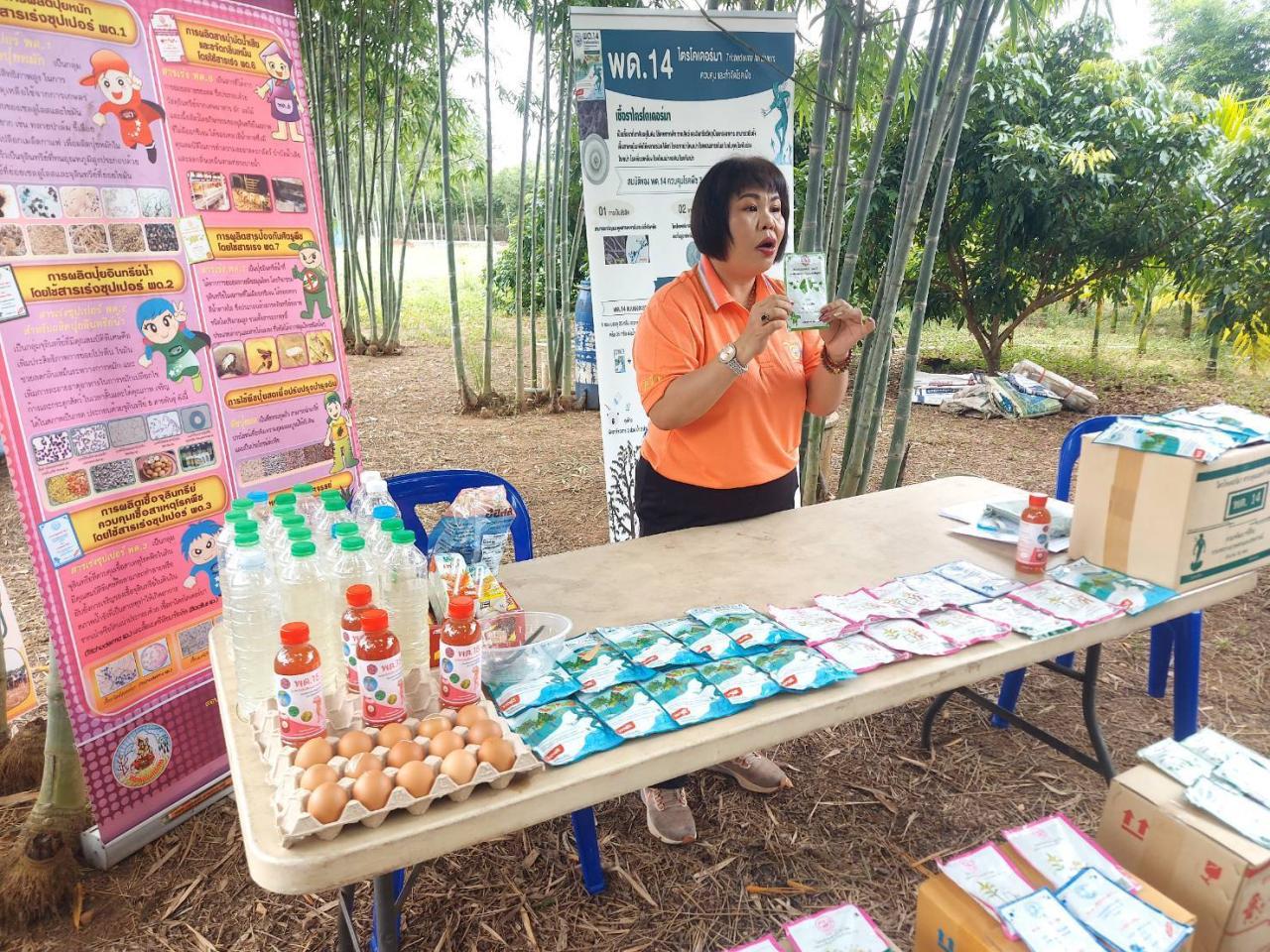 ภาพประกอบที่ 5