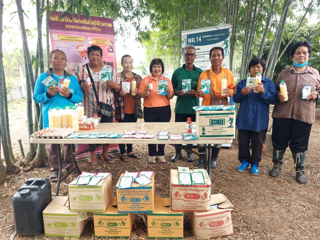 ภาพประกอบที่ 12