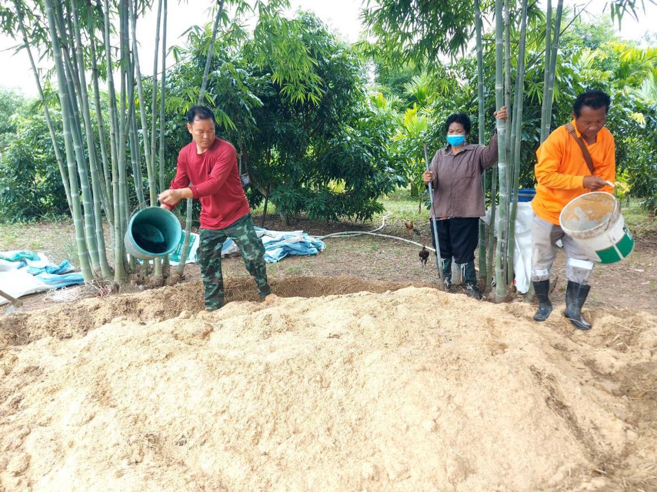 ภาพประกอบที่ 15