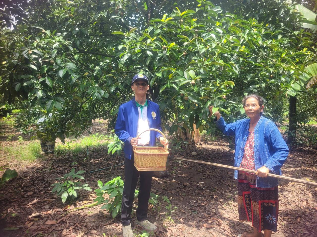 ภาพประกอบที่ 0