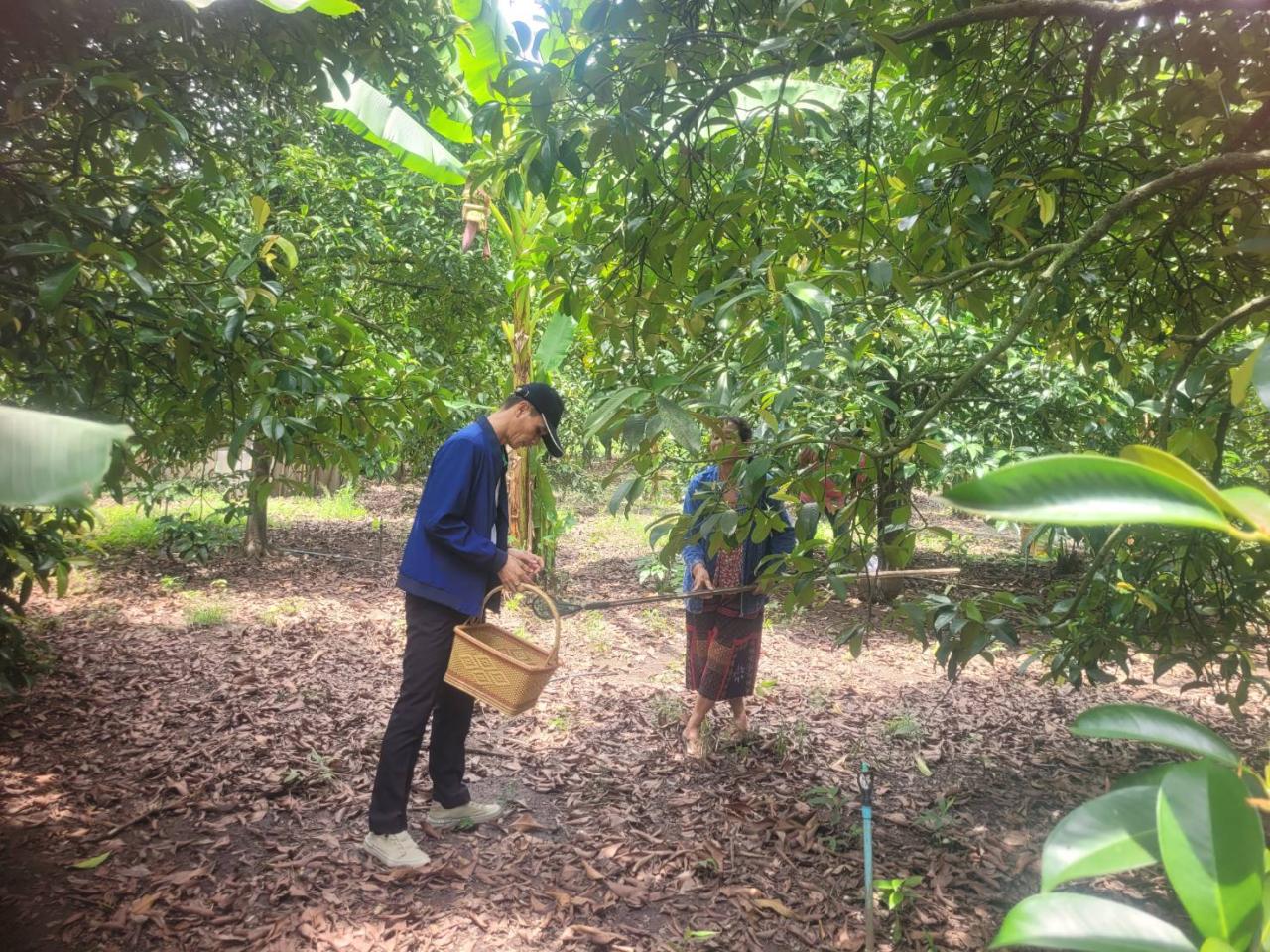 ภาพประกอบที่ 1